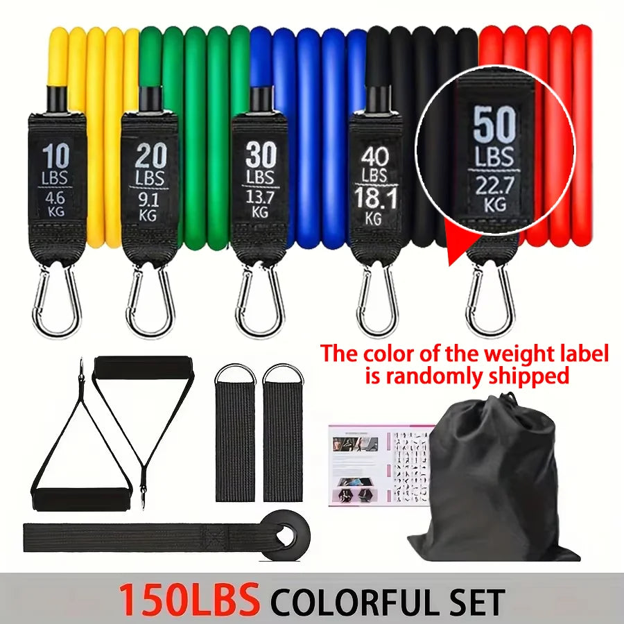 Kit Bande Elastiche di Resistenza con Maniglie e Ancoraggio Porta
