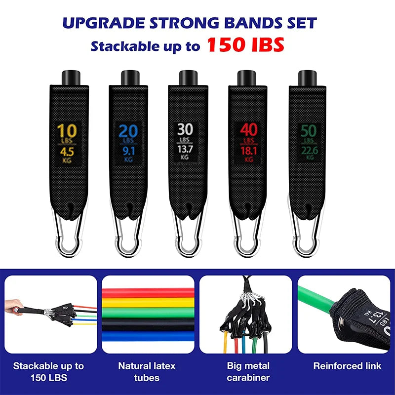 Kit Bande Elastiche di Resistenza con Maniglie e Ancoraggio Porta
