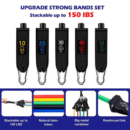 Kit Bande Elastiche di Resistenza con Maniglie e Ancoraggio Porta