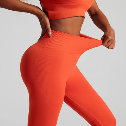 Completo Yoga & Fitness Seamless Push-Up 2 Pezzi